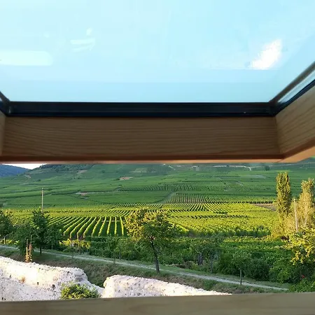 Appartement Côté Vignes avec Terrasse Kientzheim Exterior foto