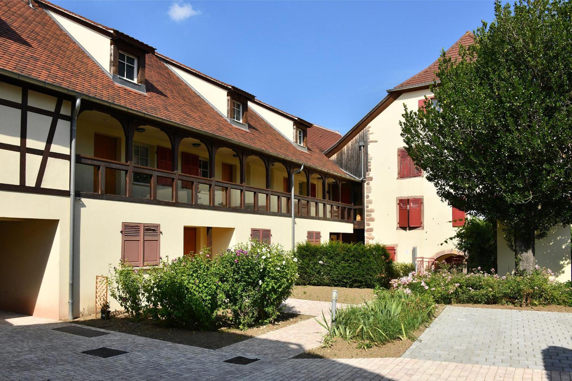 Cote Vignes Avec Terrasse Et Parking Apartment *
